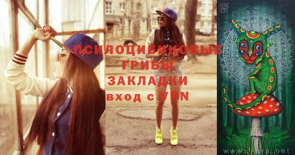молекула духа Зеленодольск