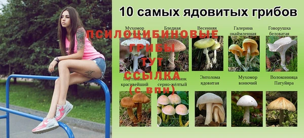каннабис Зерноград