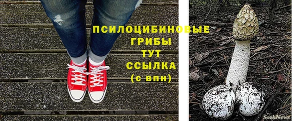 PSILOCYBIN Инта