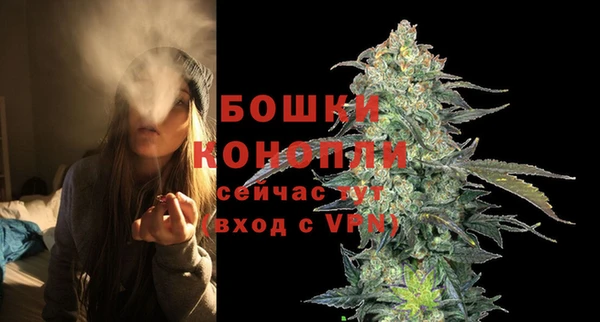молекула духа Зеленодольск