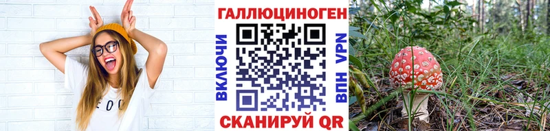 Галлюциногенные грибы Psilocybine cubensis Дмитровск