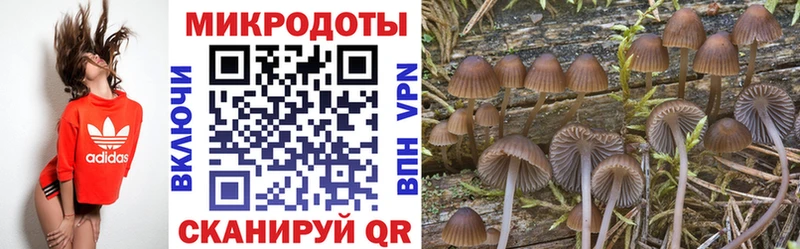 Псилоцибиновые грибы Magic Shrooms  Купить  Дмитровск 