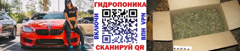 Купить где  Дмитровск  Каннабис тримм 
